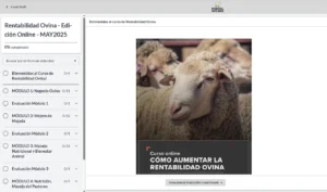 Curso de Rentabilidad Ovina