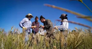 Especialización en Manejo Holístico Córdoba