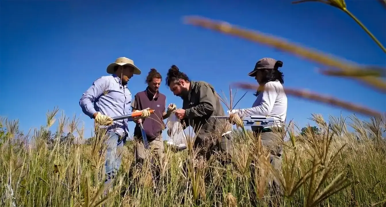 Especialización en Manejo Holístico Córdoba