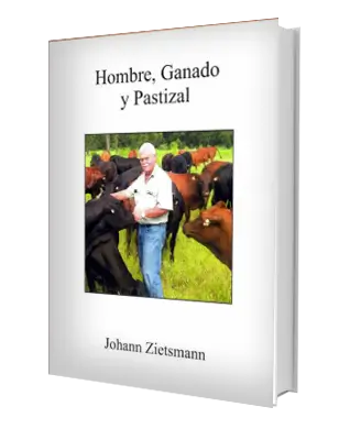 Hombre ganado pastizal