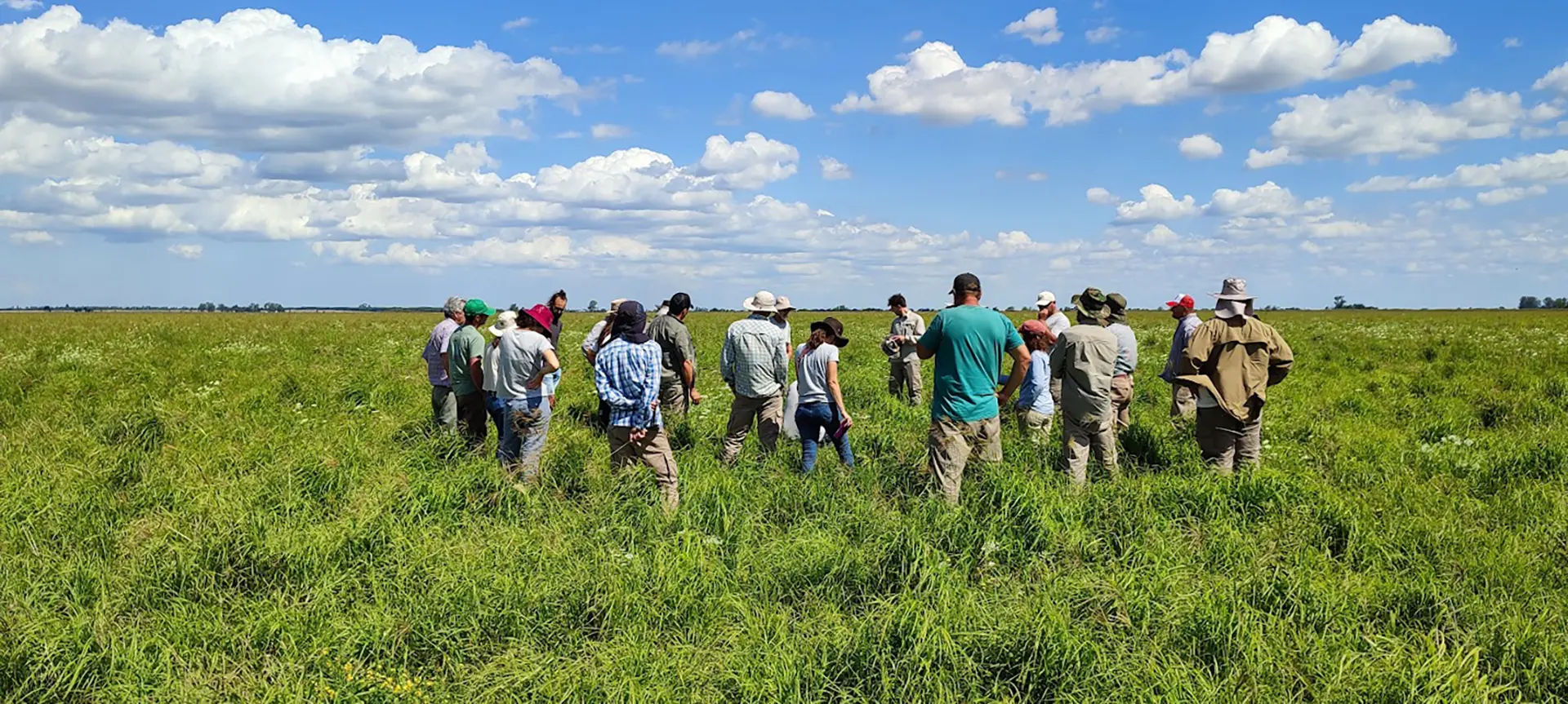 Especialización en Manejo Holístico Santa Fe
