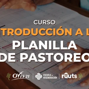 Introducción a la Planilla de pastoreo