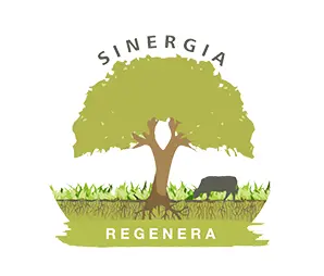 Sinergia Regenera