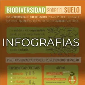 infografias escuela de regeneracion