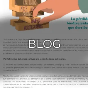 BLOG ESCUELA DE REGENERACION